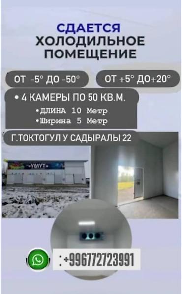 ул ленина: 200 м², Холодильный, морозильный — 1