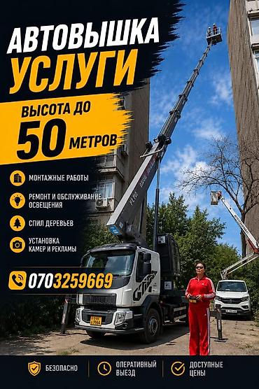 телешка тракторный: Стрела 50 м, 550 т — 1