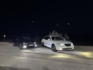 запчасти бу частные объявления: R18 Mustang diskləri barter olunur. Çat sıvarka əyri heçnə yoxdu, bez — 4