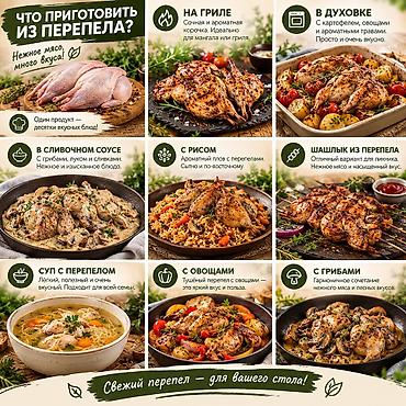 Перепелка: Продаю мясо перепела, натуральные корма с Халал сертификацией, забой — 3