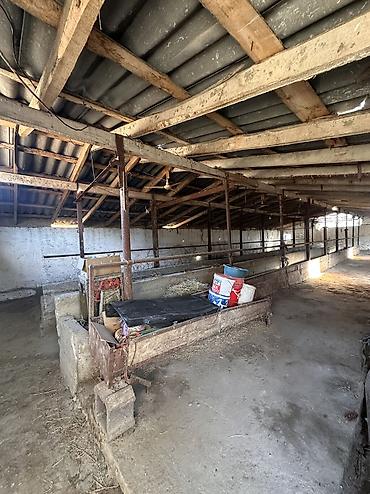 Продажа коттеджей и домов: 📍 В Сокулуке от трассы 500 м продается дом на участке 12 соток, 80 — 4