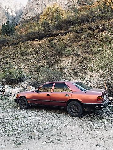 a klass: Mercedes-Benz W124: 1989 г., 3 л, Механика, Дизель, Седан — 2