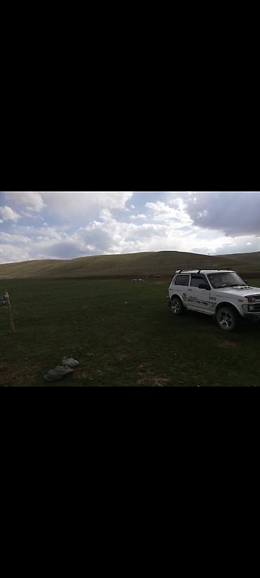 авто запчасти на хонду: ВАЗ (ЛАДА) 4x4 Нива: 2003 г., 1.7 л, Механика, Бензин, Внедорожник — 2