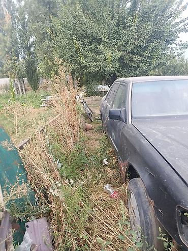 е34 дизель: Mercedes-Benz W124: 1989 г., Механика, Бензин, Седан — 1