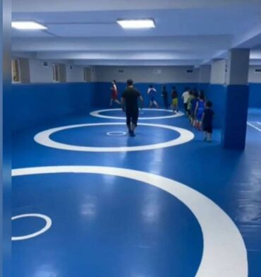 Другие тренажеры: Профессиональные спортивные маты для единоборств Назначение: - борьба — 21