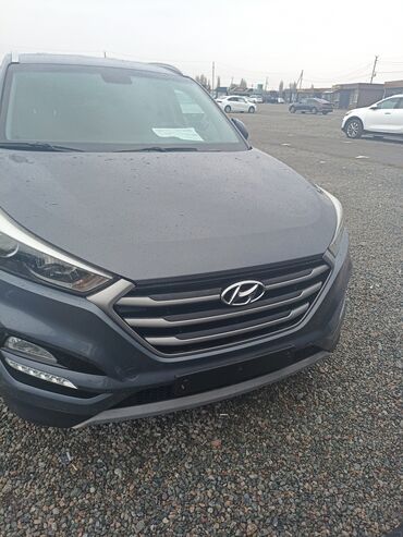 авто из корее в бишкек: Hyundai Tucson: 2018 г., 2 л, Автомат, Дизель, Кроссовер