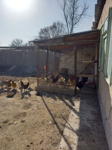 Продажа домов: Дом, 100 м², 4 комнаты, Собственник, Старый ремонт — 17