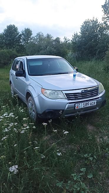 багажник форестер: Subaru Forester: 2009 г., Кроссовер — 4
