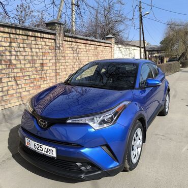 тайота кроссовер: Toyota C-HR: 2019 г., 2 л, Вариатор, Бензин, Кроссовер