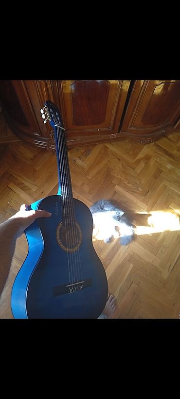 Klassik akustik gitar – mavi rəng - Korpus: tam ölçülü klassik forma