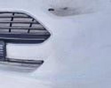 Glave motora: BRANICI ZA SVE MODELE ZA FORD C-MAX, FIESTA, FOCUS . OD 2004. DO — 20