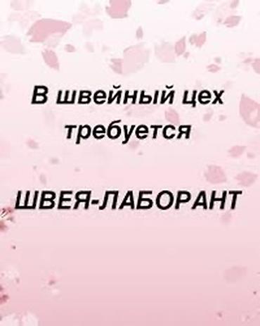 авто элекрик: Швея, Постоянная, Прямострочка, Платья — 1