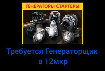 авто маляршик: Требуется Автоэлектрик, Оплата Ежедневно, Процент от дохода, Более 5 лет опыта