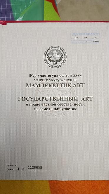 город манас: 45 соток, Для бизнеса, Красная книга — 1