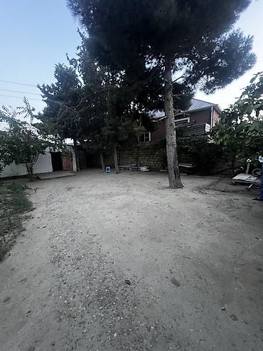 gence tap az: 3 otaqlı, 80 kv. m, Kredit yoxdur, Təmirsiz — 3