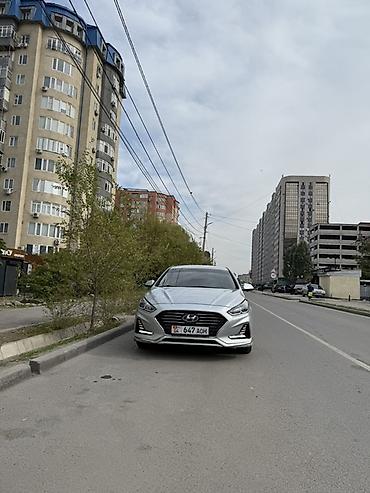 не таксованная: Hyundai Sonata: 2019 г., 2 л, Автомат, Газ, Седан — 1