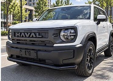 аналогия: Кенгурятник Haval, Новый, Бесплатная доставка — 3
