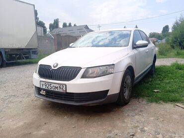 авто телега: Белый седан Skoda Octavia с черной радиаторной решеткой и затемненными