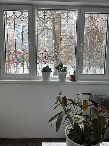 Продажа квартир: 1 комната, 38 м², 106 серия, 1 этаж, Евроремонт — 3