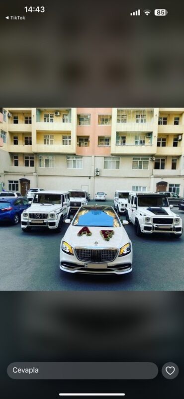 Nəqliyyat vasitəsinin icarəsi: Kia — 10