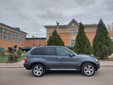 BMW: BMW X5: 2003 г., 3 л, Автомат, Дизель, Кроссовер