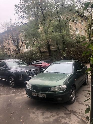 ниссан примера 1998: Nissan Primera: 2001 г., 1.8 л, Автомат, Бензин, Седан — 5