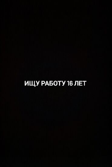 я ищу работу кафе: Ищу работу