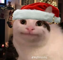 redmi not 11 про: Redmi, Redmi Note 14, Жаңы, 128 ГБ, түсү - Көгүлтүр