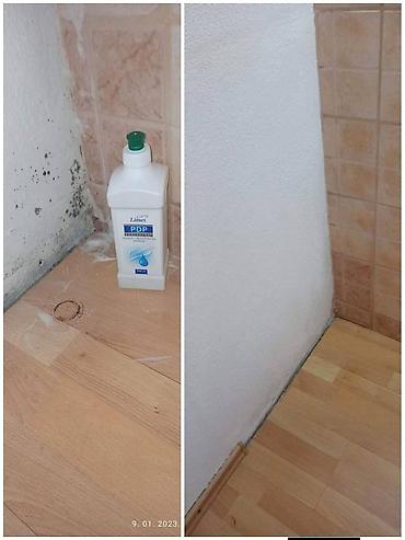 Kućna hemija i proizvodi za kuću: 🌿 PDP koncentrat – efikasno protiv buđi! 🌿 Za zdrav i čist dom bez — 2