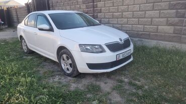 сюрф машина: Skoda Octavia: 2014 г., 1.6 л, Автомат, Бензин, Седан