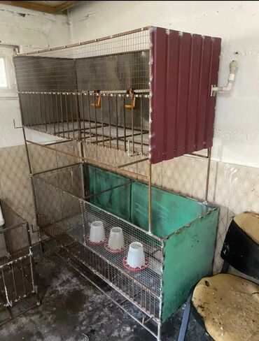 жпс трекер для животных: Многоярусная клетка для содержания домашней птицы или кроликов