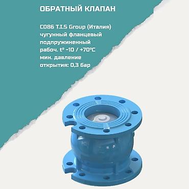 Обратные клапаны: Обратный клапан C086 T.I.S Group (Италия) - Тип: фланцевый — 1