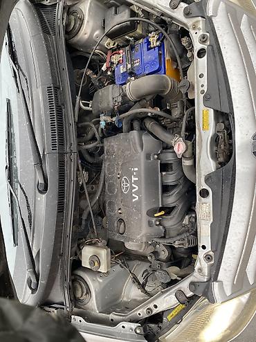 Toyota: Toyota ist: 2003 г., 1.3 л, Автомат, Бензин, Хэтчбэк — 11