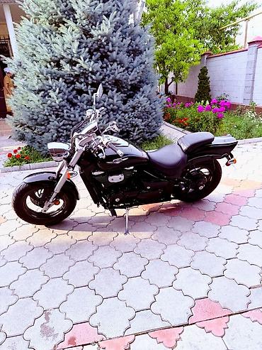 suzuki boulevard: Классический мотоцикл Suzuki, 800 куб. см, Бензин, Взрослый, Б/у, В рассрочку — 1