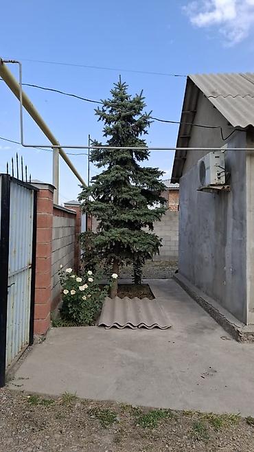 алтын казык ж м: Продаю дом участок по документом 11 соток фактически 18 соток — 3
