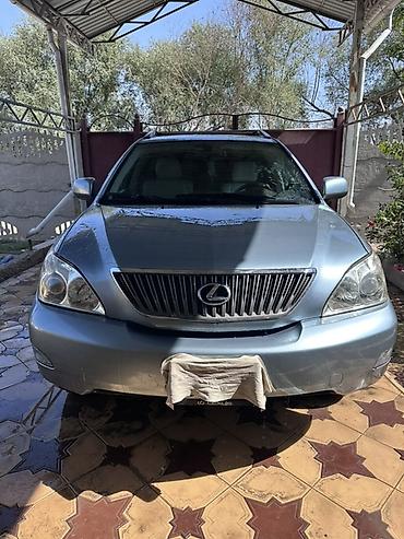 Lexus: Lexus RX: 2004 г., 3.3 л, Автомат — 10
