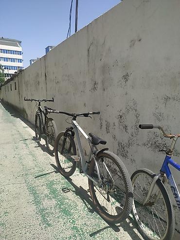 Şəhər velosipedləri: Dəmir rama!! BARTER VAR (YALNIZ TELEFON İLƏ) 1. Hassns pro7 xamilyon — 19