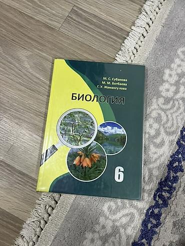 Русский язык и литература: Комплект школьных учебников для 6 класса С ОБЛОЖКАМИ ГОТОВЫЕ Состав — 5
