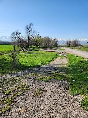 Продажа участков: 24 соток, Для бизнеса, Договор дарения — 4