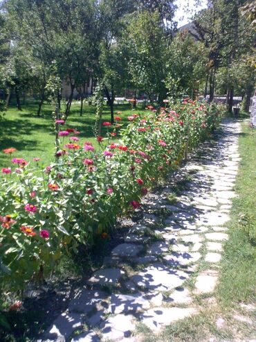Kommersiya daşınmaz əmlakının satışı: 6 ədəd hər biri 2 otaqdan ibarət olan taxta katejIər resepşin oxran — 2