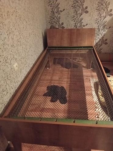 диван бу купить: Б/у, Односпальная кровать, Без подъемного механизма, Без матраса, Без выдвижных ящиков — 3