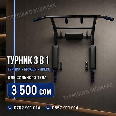 Турник, 3 в 1, Настенный, Новый, Платная доставка