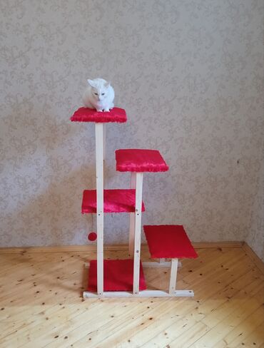 Yuvalar: Müxtəlif formada və ölçüdə pişik və it məhsullarının sifarişlə -da lalafo.az — 7 Yuvalar: Müxtəlif formada və ölçüdə pişik və it məhsullarının sifarişlə — 7