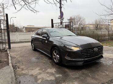 Hyundai: Hyundai Sonata: 2019 г., 2 л, Газ — 2