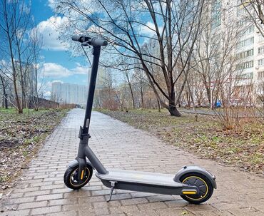 Электросамокаты: Электросамокат, Ninebot, Без рассрочки