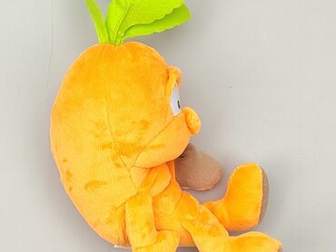 kombinezon dziecięcy jednoczęściowy: Mascot Vegetable, condition - Very good