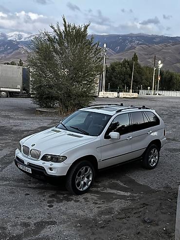 champ moto: BMW X5: 2004 г., 4.4 л, Кроссовер — 2