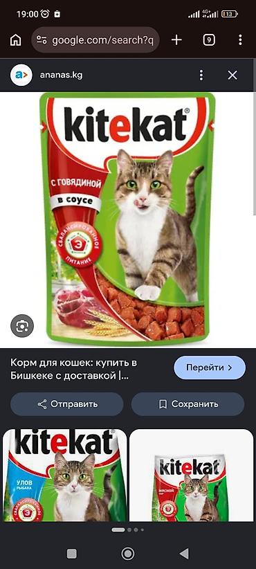 Kitekat — влажный корм для кошек с говядиной в соусе. Основные