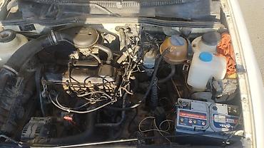 Volkswagen: Volkswagen : 1.6 l | 1995 il Hetçbek — 10