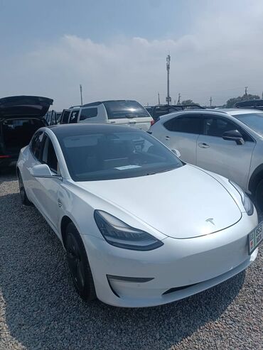 Tesla: Tesla : 2019 г., 10 л, Вариатор, Электромобиль, Хэтчбэк